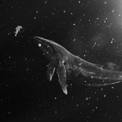 EXO - Winter Special Album [Sing For You]